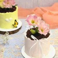 کیک گلدون روز مادر|خوردنی و آشامیدنی|اندیمشک, |دیوار