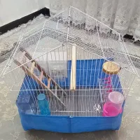 قفس نو با وسایل