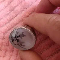 انگشترشجر قاینات|جواهرات|شادگان, |دیوار