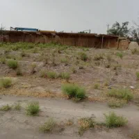 فروش حق الورثه|فروش زمین و ملک کلنگی|بناب, |دیوار