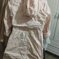 پوست سبز گردو