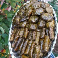 انواع دلمه|خوردنی و آشامیدنی|تهران, بروجردی|دیوار