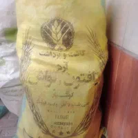 فروش کیسه خالی