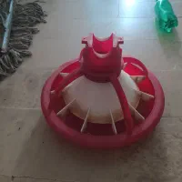 دانخوری بشقابی|لوازم جانبی حیوانات|هرسین, |دیوار