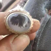 شجرتک درخت قائن کلکسیونی رکاب دستساز