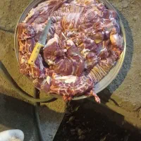 قصابی شبانه روزی|خدمات پذیرایی، مراسم|اراک, |دیوار