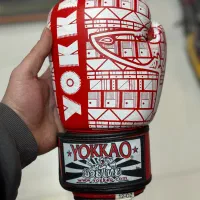 دستکش بوکس و روپا