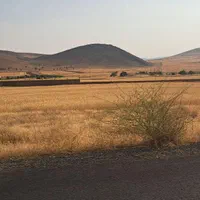 مرغداری اجاره ای میخام(گوشتی)