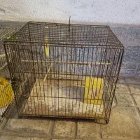 ۳عدد قفس پرنده نو با لوازم جانبی|لوازم جانبی حیوانات|اندیشه, شهرک مریم|دیوار