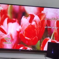 تلویزیون ال ای دی مدل سام 50اینچ