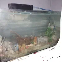 آکواریوم با تمام لوازم با ارزانترین قیمت