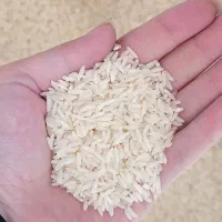 برنج طارم هاشمی