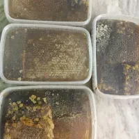 عسل با موم و صاف شده
