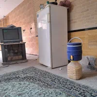 فریز آزمایش