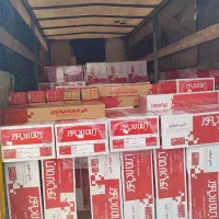 نمایندگی رسمی ایران رادیاتور بوتان لورچ پکیج پانلی