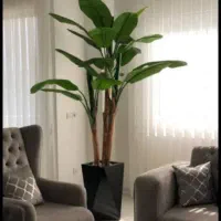 درخ چه|گل مصنوعی|تهران, مشیریه|دیوار