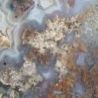 عقیق شجر پاییزی