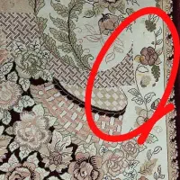 قالی|فرش|بندر ماهشهر, |دیوار