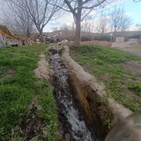 رزو تخت به خانوده برای روز طبیعت (سیزه به در)