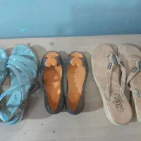 تعدادی دمپایی