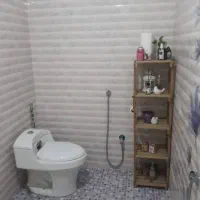 لوله کشی و تاسیسات سیار فوری|خدمات پیشه و مهارت|بندرعباس, |دیوار