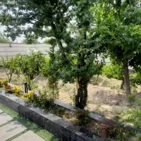 400-متر-باغویلای-جنگلی