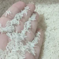 برنج‌فجر‌سوزنی‌قلم‌ریز|خوردنی و آشامیدنی|خان ببین, |دیوار