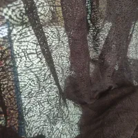 پرده  عنکبوتی