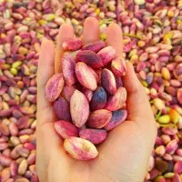 بار نهال پسته رو دو برابر کن / مشاوره تخصصی کوددهی