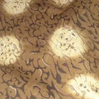 پیدا کرده ام