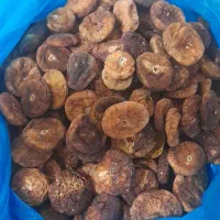 انجیرخش‌ک شب یلدا