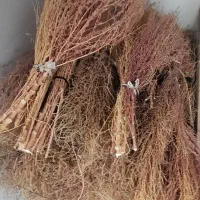 جارو|لوازم نظافت|خرمآباد, |دیوار