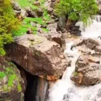 انجام و پیگیری امور اداری تا حصول نتیجه