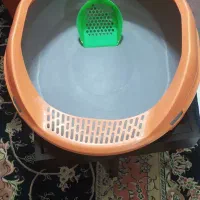 ظرف خاک گربه