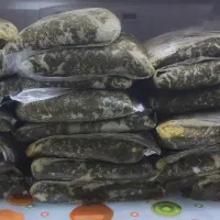 سبزی قرمه خونگی سرخ شده خوش عطر و تازه