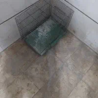 قفس بزرگ برا پرنده وخزنده