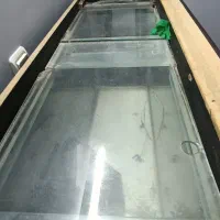 آکواریوم|ماهی|همدان, |دیوار