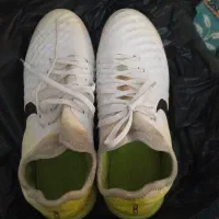 کفش مجستاکس