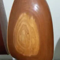 تنبور کاسه ای یک تیکه