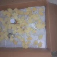 جوجه گوشتی سفید|حیوانات مزرعه|آمل, |دیوار