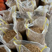 بادام|خوردنی و آشامیدنی|پارس‌آباد, |دیوار