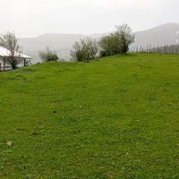 زمین-مسکونی-واقع-در-ییلاق-ریک