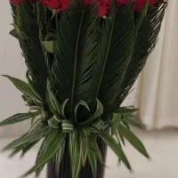 رز هلندی فوق ممتاز صادراتی برای سفارشات شما