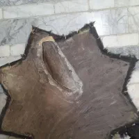 طبل پوستی
