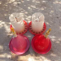 آب خوری و دان خوری