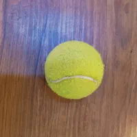 سلام یک توپ تنیس با قیمت مناسب