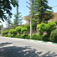 زمین 1550متری دوکله سندسالم ویو دار تکرانشدنی