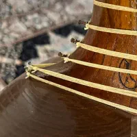 تار خوش صدا|سازهای سنتی|بندرعباس, |دیوار