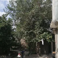 خانه ویلایی بلوار توس