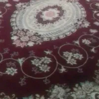 قالی کارکرد درحد نو